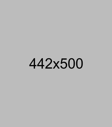Company Profile Website